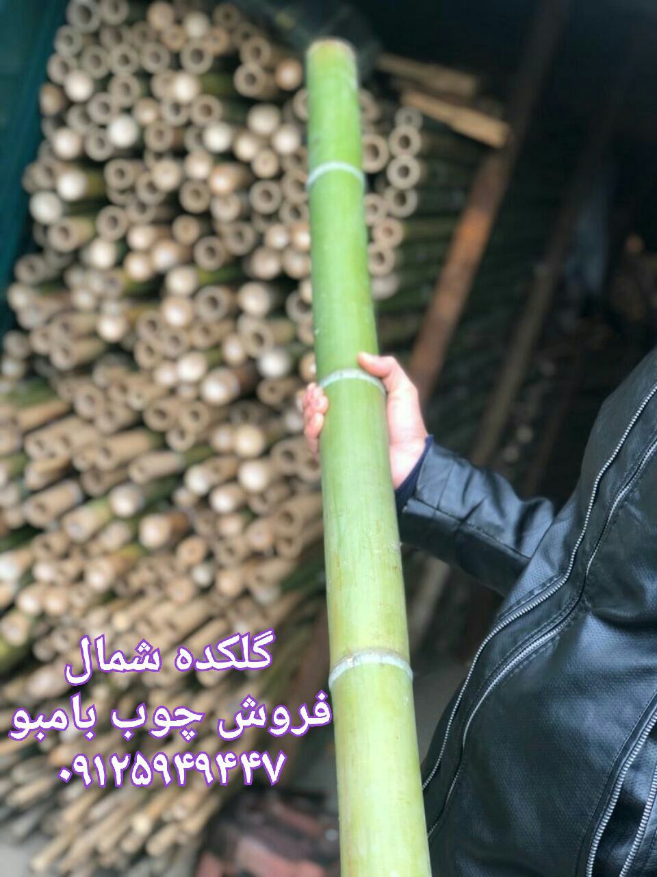 فروش چوب بامبو