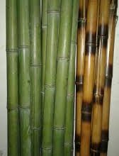فروش نی بامبو سند بلاست شده و ساده